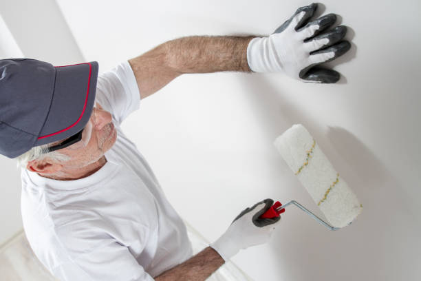 Trusted Creve Coeur, IL Mold Removal Experts