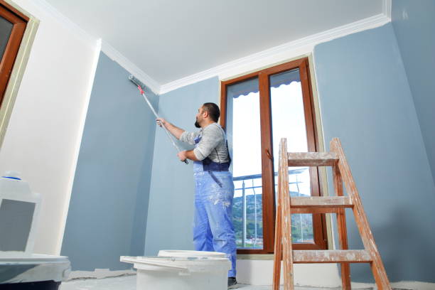 Best Emergency Mold Remediation  in Creve Coeur, IL