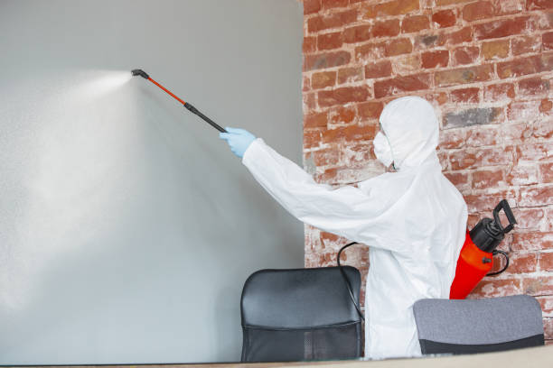 Best Mold Documentation for Insurance Claims  in Creve Coeur, IL