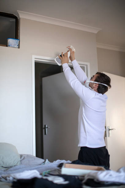 Best Attic Mold Removal  in Creve Coeur, IL