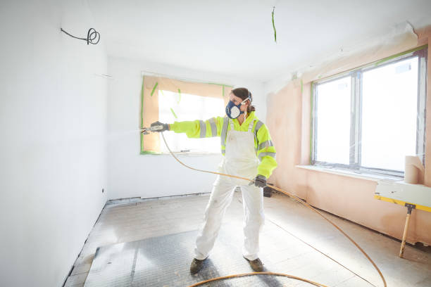 Best Basement Mold Removal  in Creve Coeur, IL