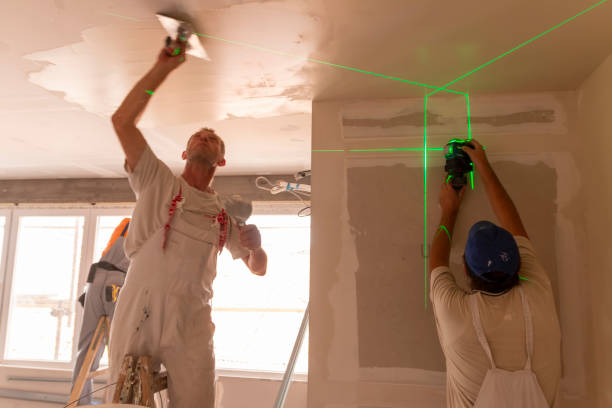 Best Water Damage & Mold Remediation  in Creve Coeur, IL