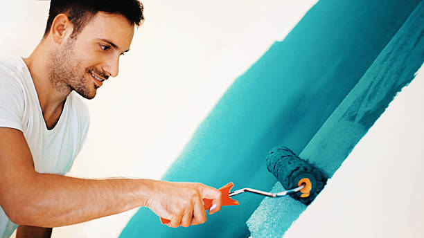 Best Mold Odor Removal Services  in Creve Coeur, IL